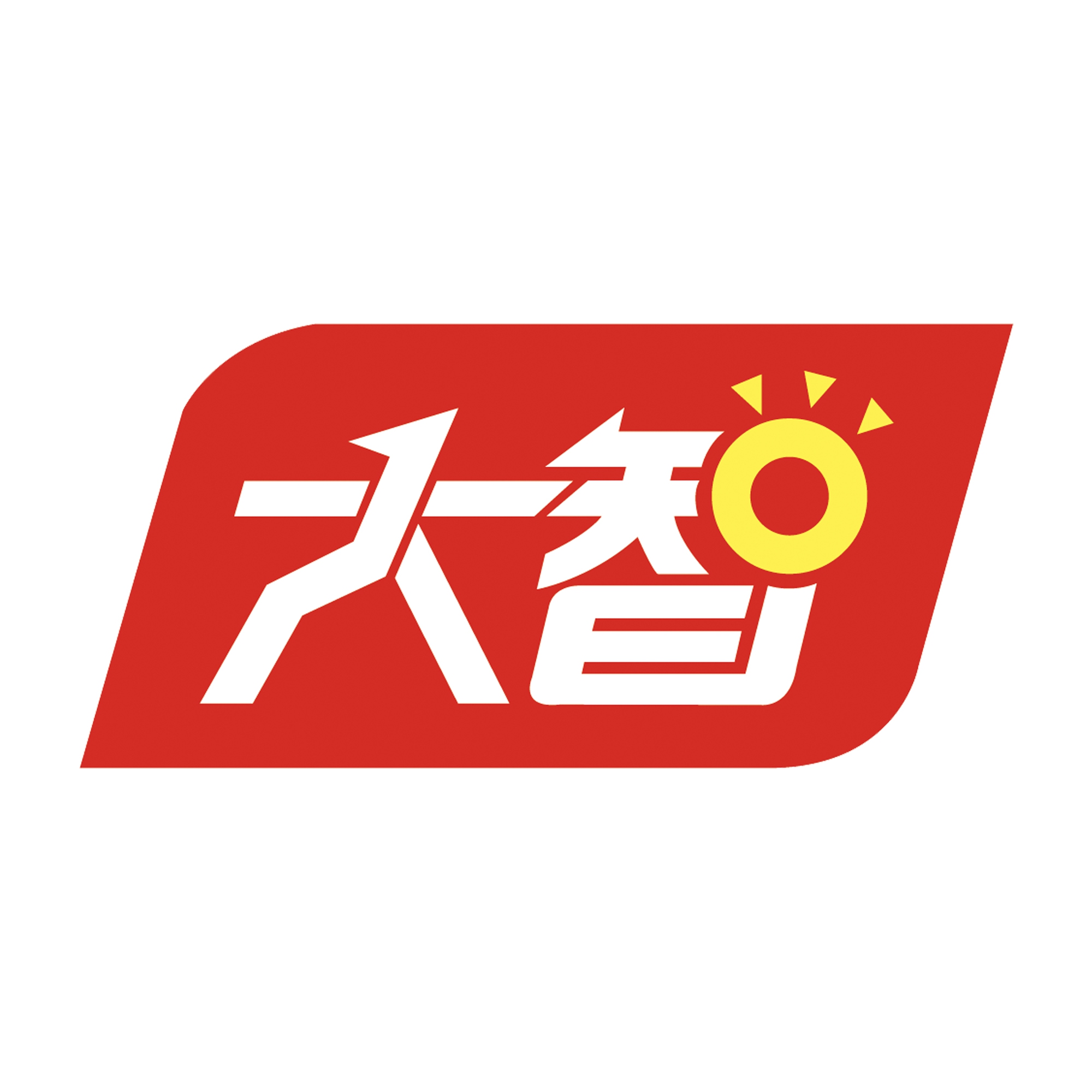 山东大智教育集团股份有限公司