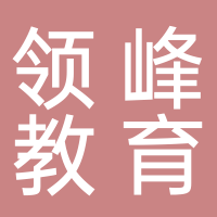 山东领峰教育科技集团有限公司